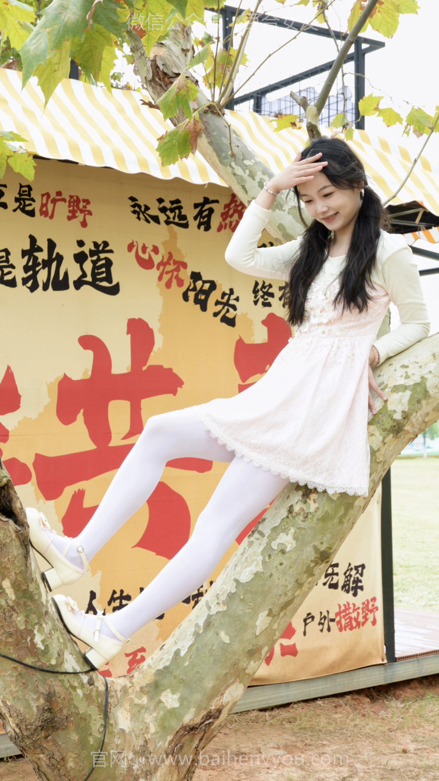 114/芸芸~《我又上树了》总有几个瞬间怀念儿时~